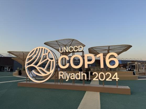Uzbekistan's initiative was included in the final decision of COP16