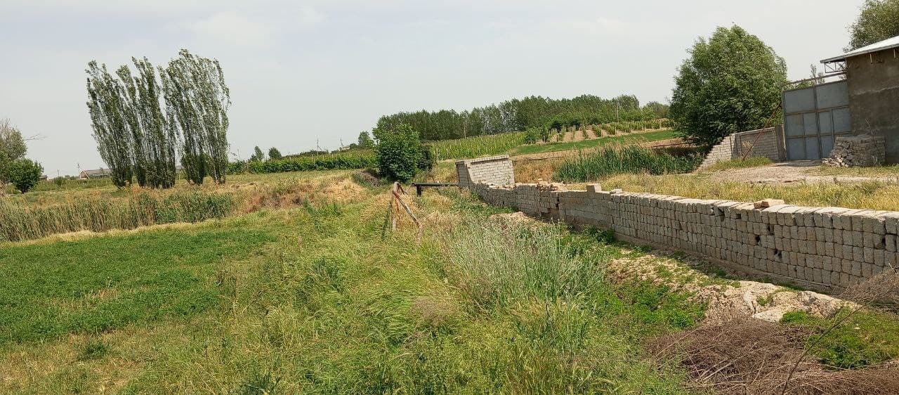 В ТАШКЕНТСКОЙ ОБЛАСТИ ВЫЯВЛЕНЫ СЛУЧАИ НЕЗАКОННОГО ИСПОЛЬЗОВАНИЯ СЕЛЬСКОХОЗЯЙСТВЕННЫХ ЗЕМЕЛЬ