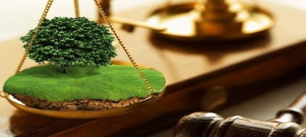 В ТАШКЕНТСКОЙ ОБЛАСТИ ВЫЯВЛЕНЫ СЛУЧАИ НЕЗАКОННОГО ИСПОЛЬЗОВАНИЯ СЕЛЬСКОХОЗЯЙСТВЕННЫХ ЗЕМЕЛЬ