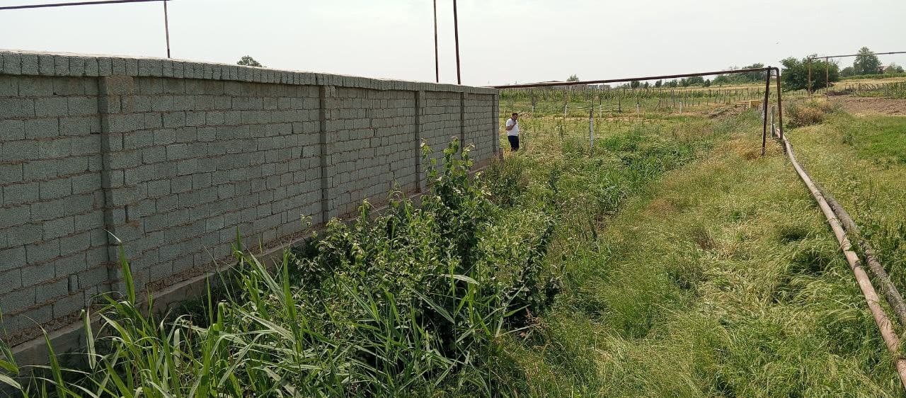 В ТАШКЕНТСКОЙ ОБЛАСТИ ВЫЯВЛЕНЫ СЛУЧАИ НЕЗАКОННОГО ИСПОЛЬЗОВАНИЯ СЕЛЬСКОХОЗЯЙСТВЕННЫХ ЗЕМЕЛЬ