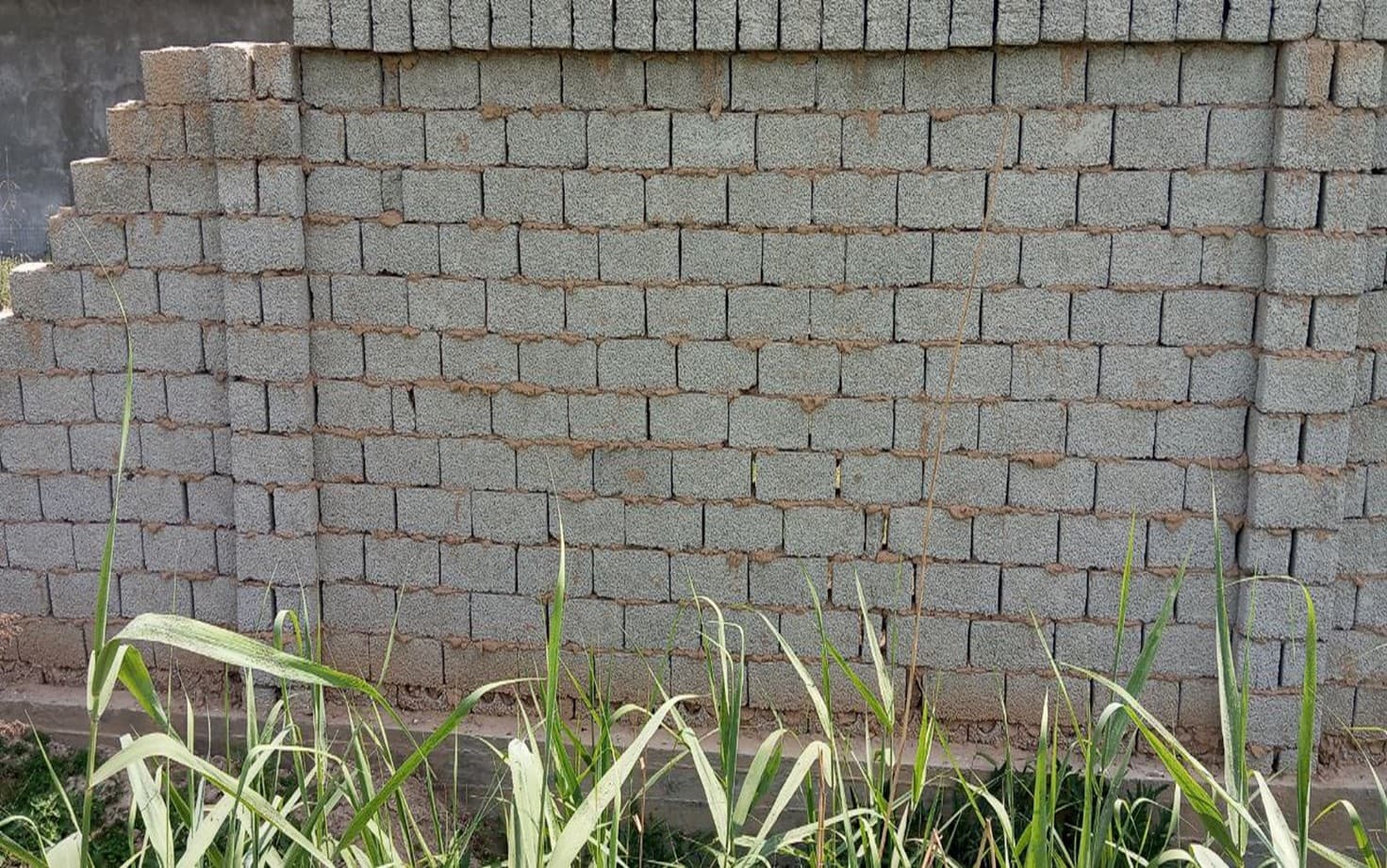 В ТАШКЕНТСКОЙ ОБЛАСТИ ВЫЯВЛЕНЫ СЛУЧАИ НЕЗАКОННОГО ИСПОЛЬЗОВАНИЯ СЕЛЬСКОХОЗЯЙСТВЕННЫХ ЗЕМЕЛЬ