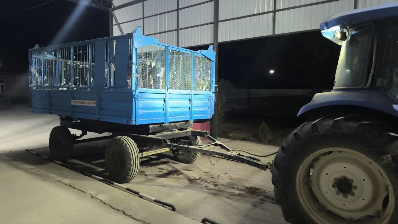 В САМАРКАНДЕ РЕШАЮТСЯ СПОРЫ В ПРОЦЕССЕ ПРИЕМКИ ХЛОПКА