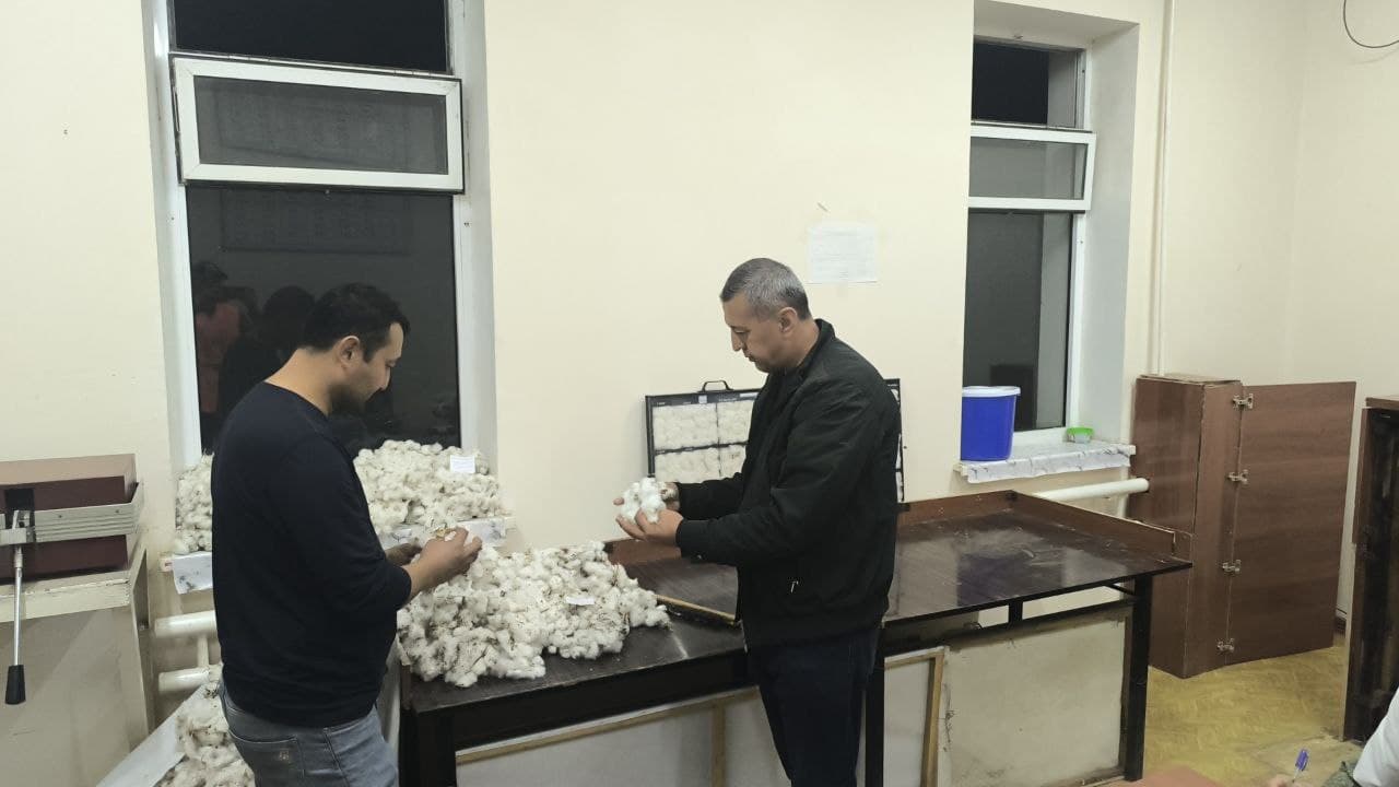 В САМАРКАНДЕ РЕШАЮТСЯ СПОРЫ В ПРОЦЕССЕ ПРИЕМКИ ХЛОПКА