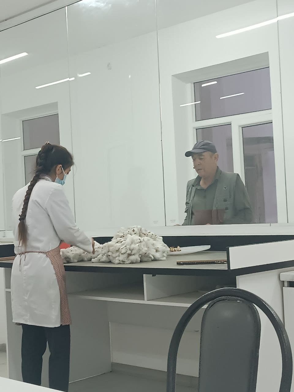 Navoiyda paxta qabul qilish jarayonidagi nizolar bartaraf etilmoqda