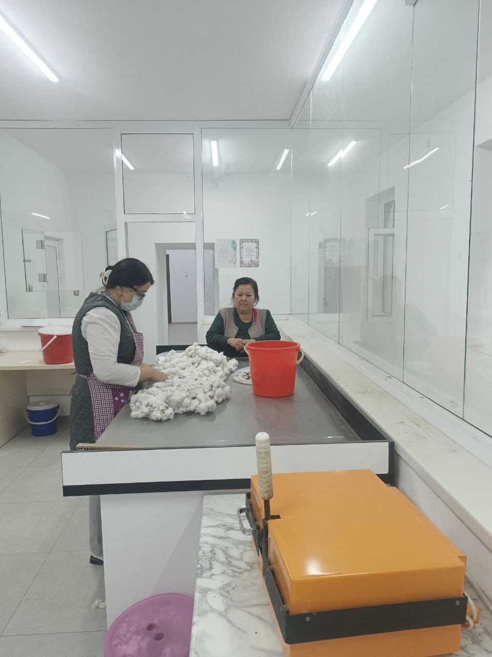 Navoiyda paxta qabul qilish jarayonidagi nizolar bartaraf etilmoqda