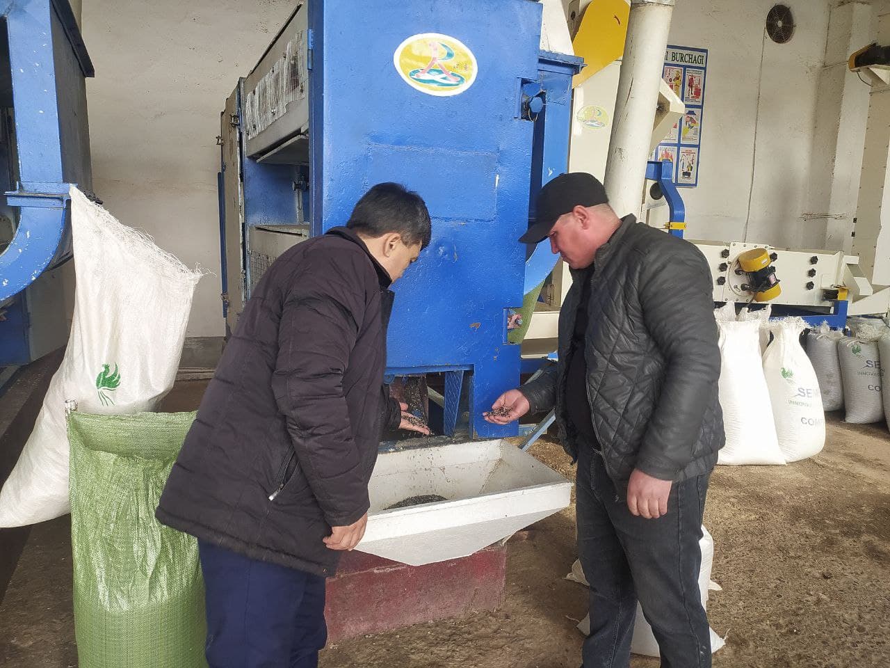 YUQORI SIFATLI URUG‘ — MO‘L HOSIL GAROVI