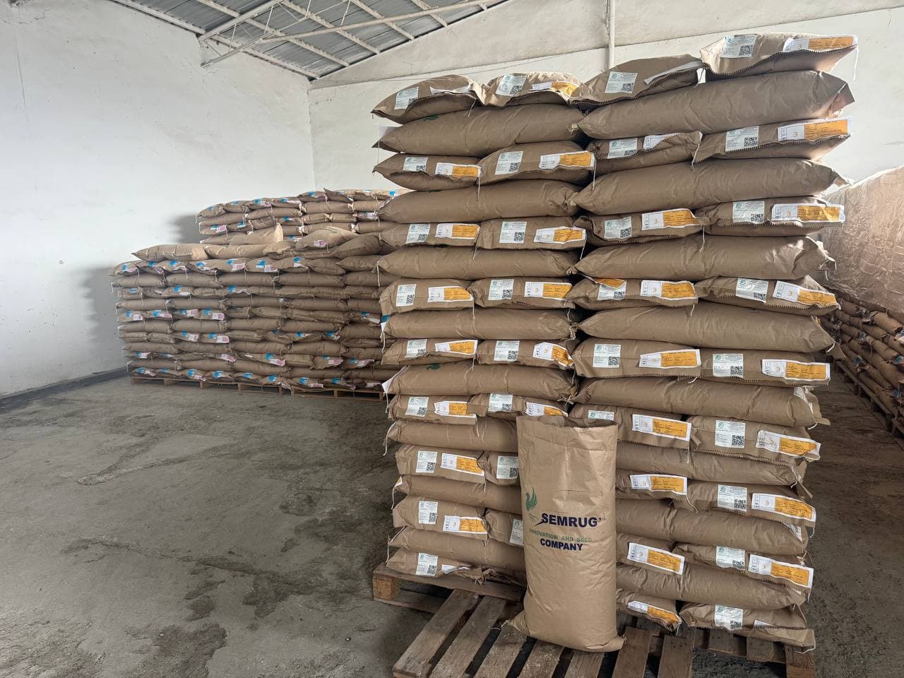 YUQORI SIFATLI URUG‘ — MO‘L HOSIL GAROVI