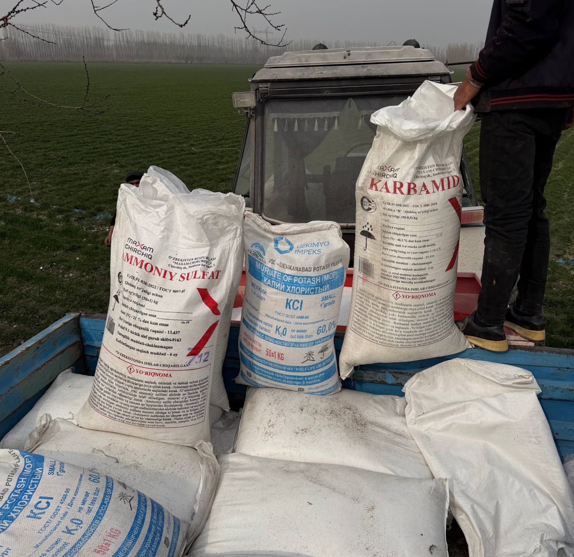 ВЫРАЩИВАНИЕ СЕМЯН СЕЛЬСКОХОЗЯЙСТВЕННЫХ КУЛЬТУР ПОД КОНТРОЛЕМ ИНСПЕКЦИИ.