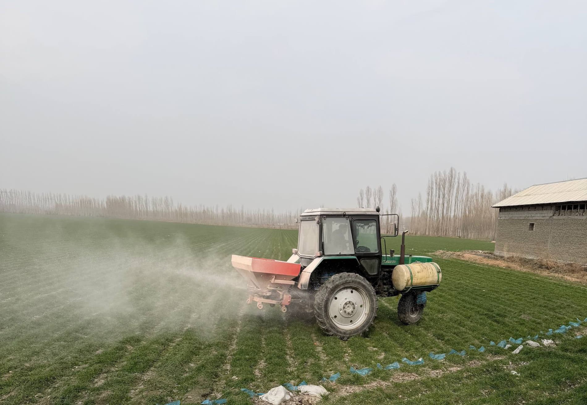 ВЫРАЩИВАНИЕ СЕМЯН СЕЛЬСКОХОЗЯЙСТВЕННЫХ КУЛЬТУР ПОД КОНТРОЛЕМ ИНСПЕКЦИИ.