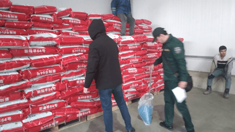 Ввоз чужеродных семян под контролем инспекции.