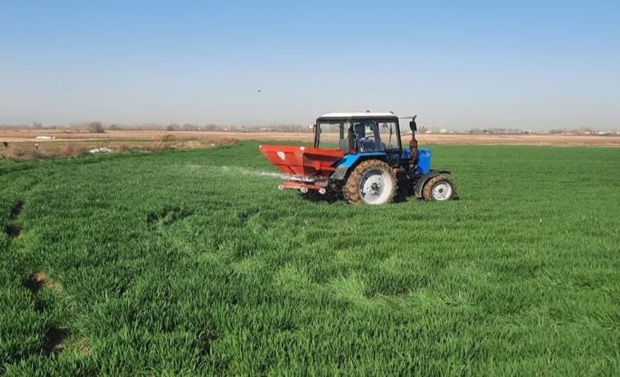 Качественные семена – основа высокой урожайности.