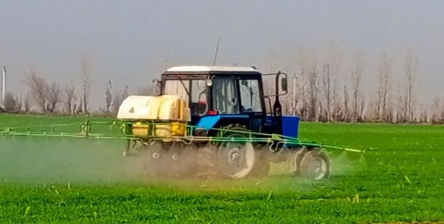 Качественные семена – основа высокой урожайности.