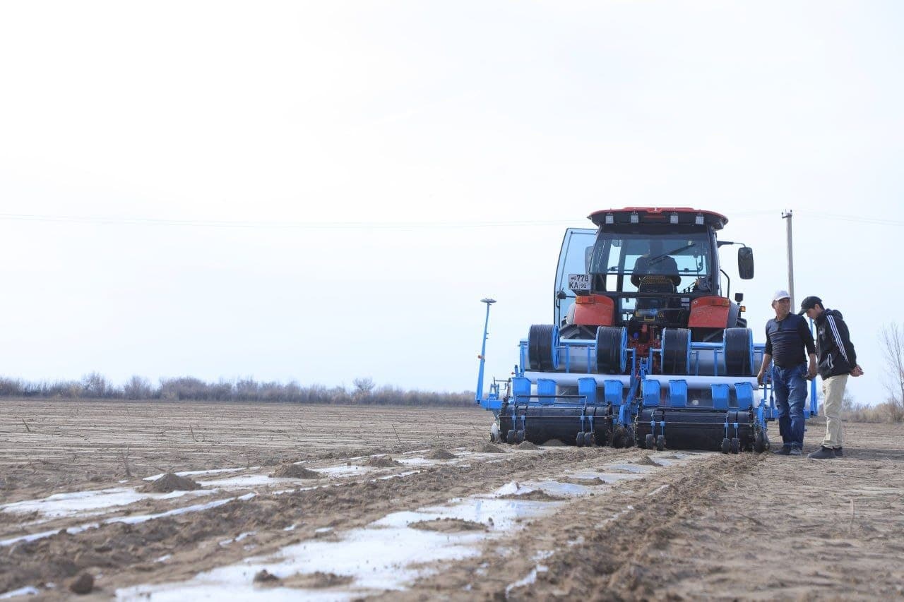 В ТУПРОГКАЛЕ НАЧАЛСЯ ПОСЕВ СЕМЯН ХЛОПЧАТНИКА УРОЖАЯ 2026 ГОДА.