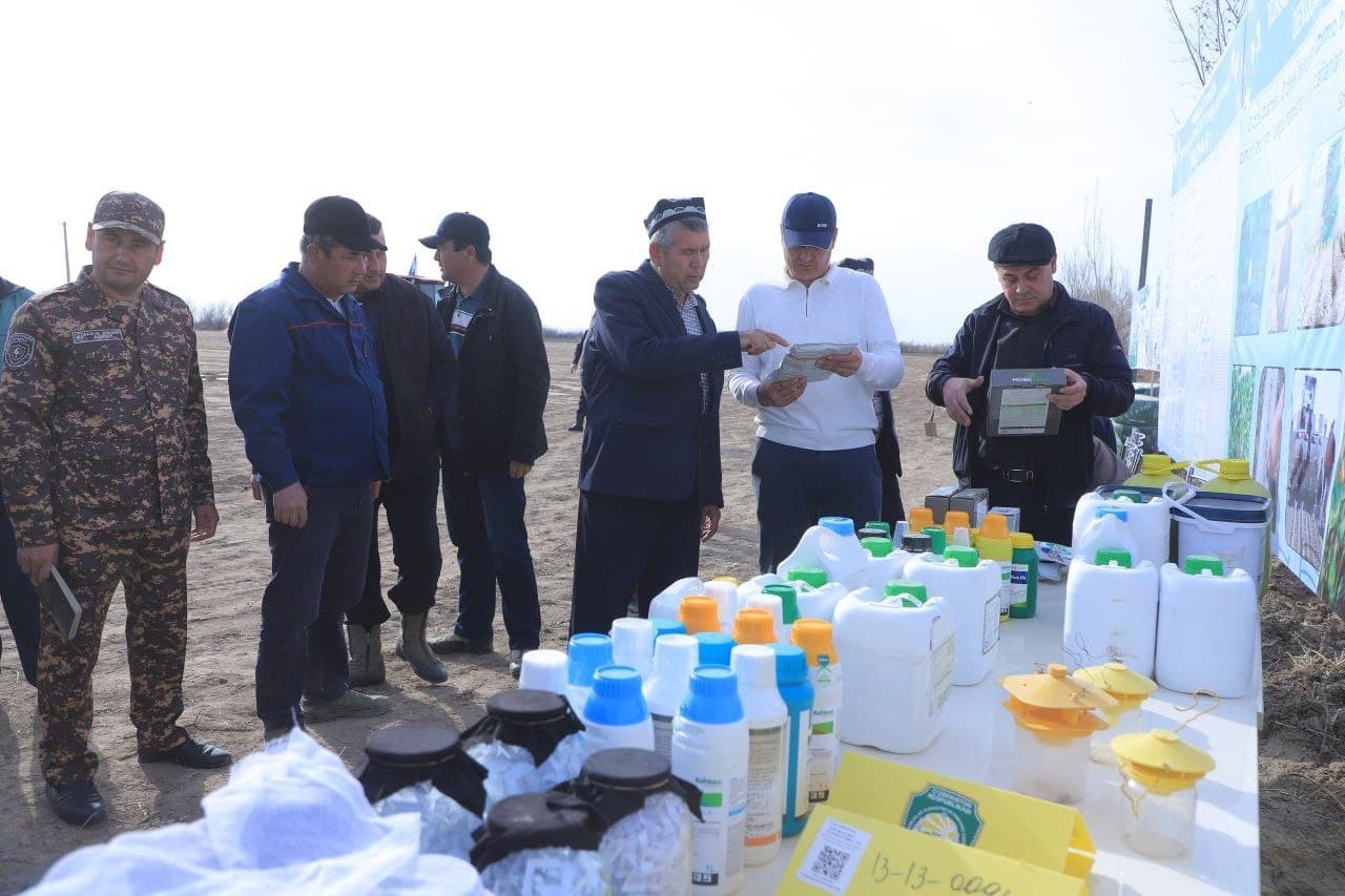 В ТУПРОГКАЛЕ НАЧАЛСЯ ПОСЕВ СЕМЯН ХЛОПЧАТНИКА УРОЖАЯ 2026 ГОДА.