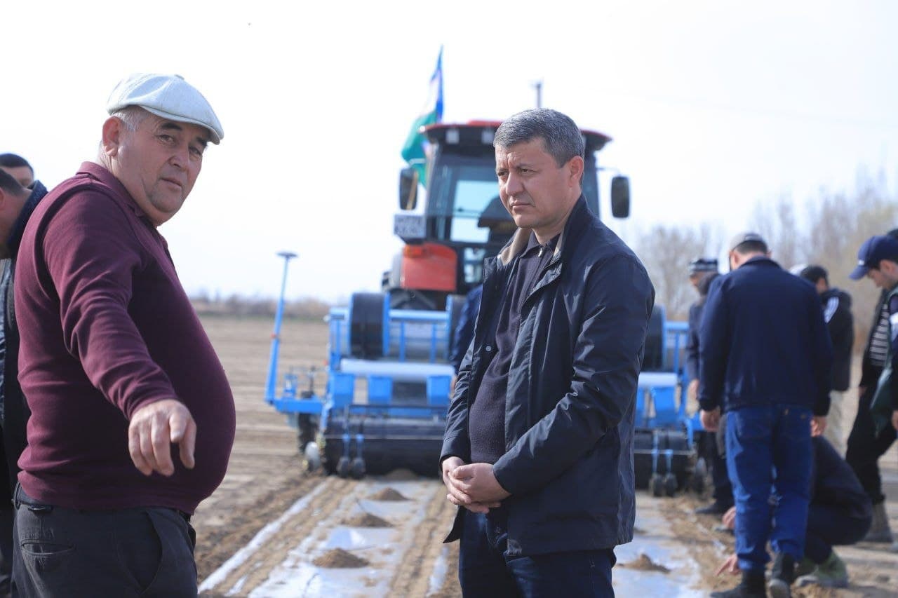 В ТУПРОГКАЛЕ НАЧАЛСЯ ПОСЕВ СЕМЯН ХЛОПЧАТНИКА УРОЖАЯ 2026 ГОДА.