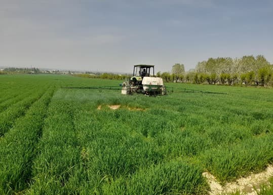 Агротехнические мероприятия на зерновых полях под контролем «Узагроинспекции»