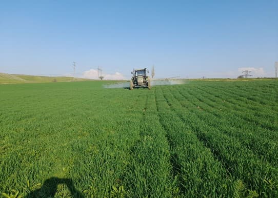 Агротехнические мероприятия на зерновых полях под контролем «Узагроинспекции»