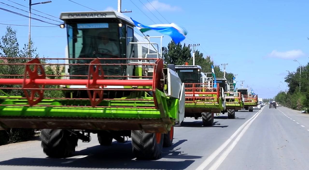 ХОРЕСЗМ: 152 комбайна участвуют в сезоне сбора урожая зерна.