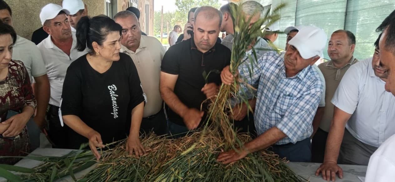 XORAZM: G‘ALLA APROBATSIYASIDA YANGICHA YONDASHUV