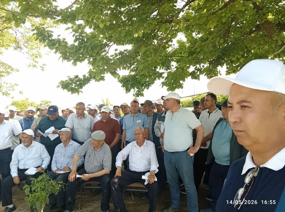 BUXORO VILOYATIDA 5 MING GEKTARDAN ORTIQ MAYDONLARIDA URUG‘LIK G‘ALLA PARVARISH QILINMOQDA.