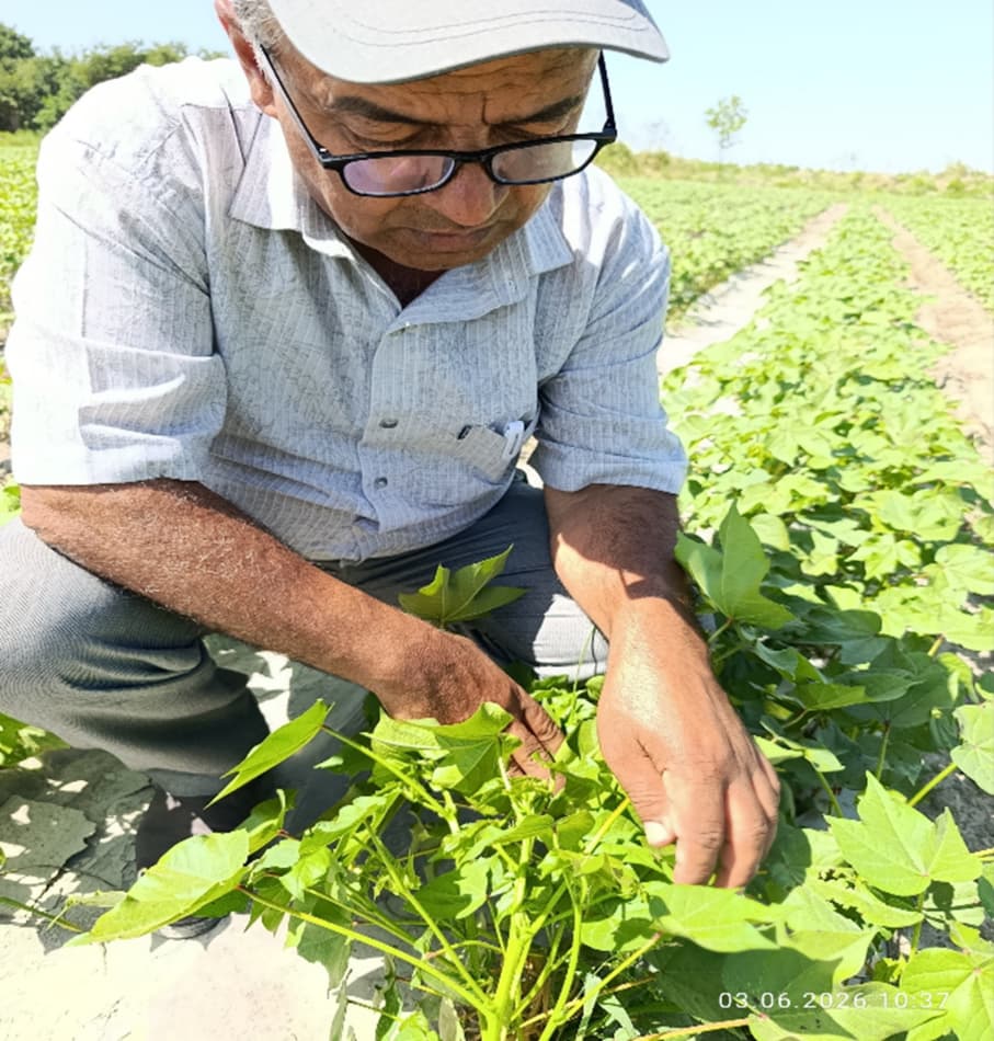 AGROTEXNIK TADBIRLARNI MUDDATIDA VA SIFATLI O‘TKAZILISHI NAZORATDA