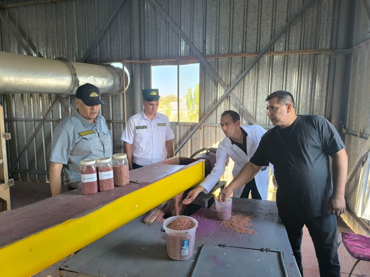 Подготовка посевной пшеницы к урожаю следующего года находится под контролем.