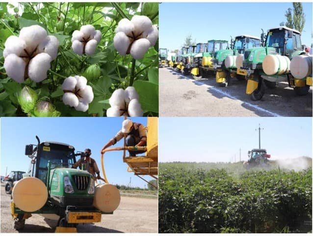DEFOLIATSIYA TADBIRLARINI O‘Z VAQTIDA VA SIFATLI O‘TKAZILISHI YUZASIDAN NAZORAT TADBIRLARI O‘TKAZILMOQDA