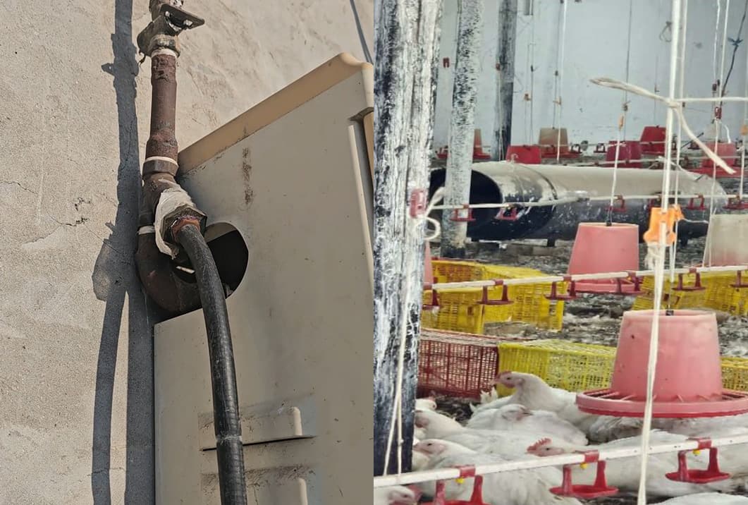 Tabiiy gazdan noqonuniy foydalangan parrandachilik fermasi fosh etildi